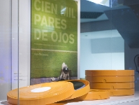 2010-02-02_EXPOSICION_FORA_DE_JOC_MUSEU_FCB_002.jpg