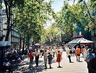 Apoyo a la Rambla y al Palau de la Msica