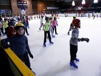 Novedades en la Pista de Hielo