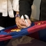 Joan Laporta signant una samarreta.