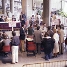 Panormica de la distribuci de les meses l'any 1978.