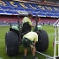 Foto: lex Caparrs - FCB.