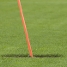 Foto: lex Caparrs - FCB.
