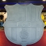 Foto: lex Caparrs (FCB).