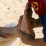 Messi ha fet treball de recuperaci aquest mat a la platja privada de l'hotel de concentraci. (Fotos: Miguel Ruiz - FCB)